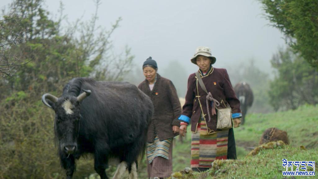 ▶ སྒྲོལ་དཀར་གྱི་ཁྱིམ་གཞིས་གསར་པ།