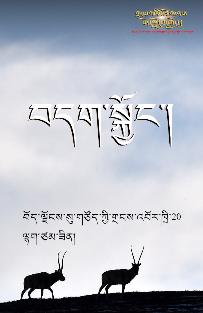 གྲངས་གཞིའི་ཐོག་ནས་བོད་ལྗོངས་གླེང་། ——  བོད་ལྗོངས་སུ་གཙོད་ཀྱི་གྲངས་འབོར་ཁྲི་20ལྷག་ཙམ་ཟིན་པ།