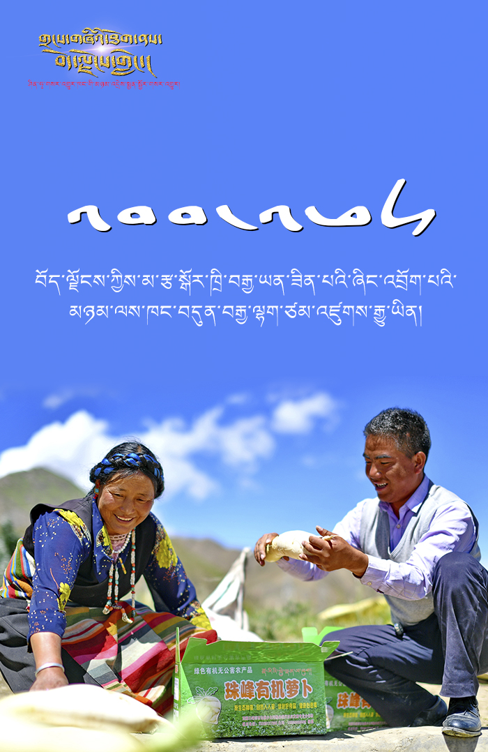 གྲངས་གཞིའི་ཐོག་ནས་བོད་ལྗོངས་གླེང་། ——   བོད་ལྗོངས་ཀྱིས་མ་རྩ་སྒོར་ཁྲི་བརྒྱ་ཡན་ཟིན་པའི་ཞིང་འབྲོག་པའི་མཉམ་ལས་ཁང་700ལྷག་ཙམ་འཛུགས་རྒྱུ་ཡིན་པ།