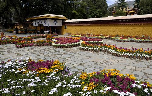 ༄༅།།་ན་ང་ལ་ར་་ང་མཁན་ན་་མང་བ།