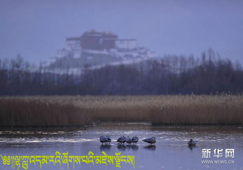 ༄༅།།་་འདམ་ར་གས་པ་མས་ངས།