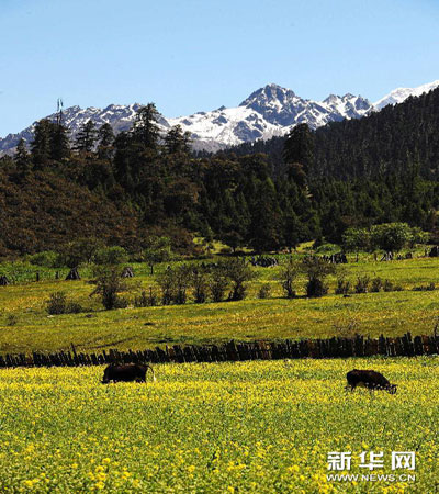 ༄༅།།་ནང་ང་ང་་ང་་མས་ངས།