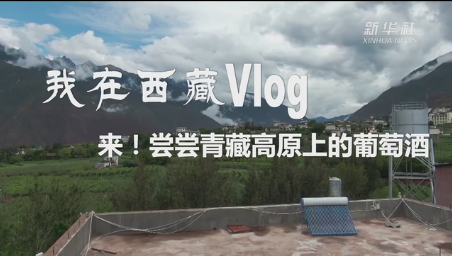 རྒུན་འབྲུམ་ཆང་གི་བྲོ་བ་མྱོང་བར་ཕེབས།