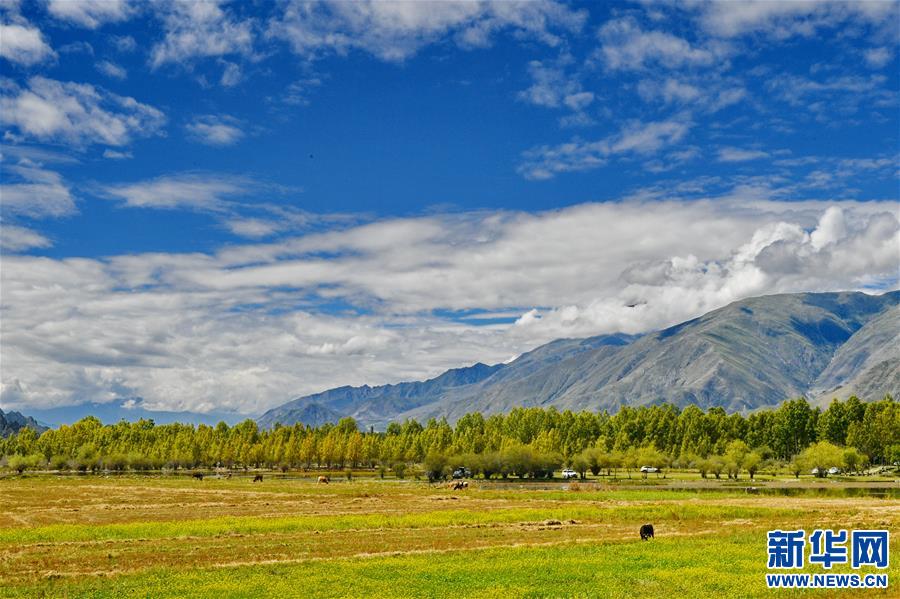 ས་མཐོའི་དབུལ་སྒྲོལ་གྱི“ཁྲེང་ཀོན་གྱི་མ་དཔེ”