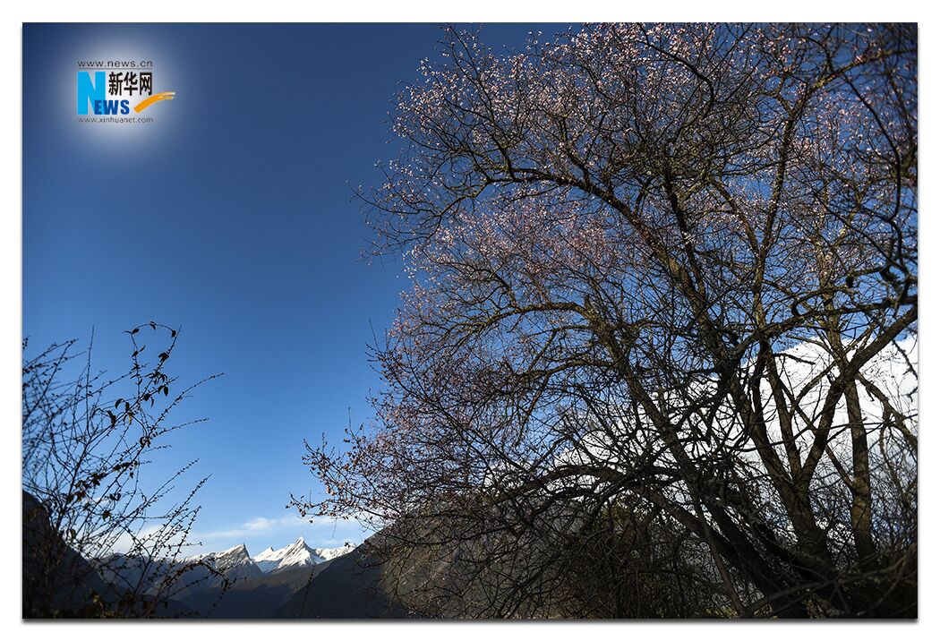 བསྔགས་སྨོད་ཁ་ཚ་ལྕེ་སྦྲིད།